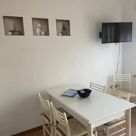 Lemon * 빌라시미우스